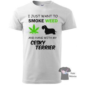   Cesky Terrier póló - Cseh Terrier póló / pulcsi - Kutyás póló - Egyedi Feliratos póló