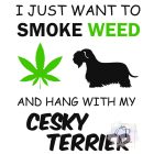 Cesky Terrier póló - Cseh Terrier póló / pulcsi - Kutyás póló - Egyedi Feliratos póló