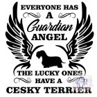 Cesky Terrier póló - Cseh Terrier póló / pulcsi - Kutyás póló - Egyedi Feliratos póló