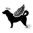 Appenzeller póló - Kutyás póló - Egyedi Feliratos póló