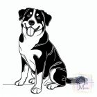 Appenzeller póló - Kutyás póló - Egyedi Feliratos póló