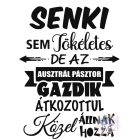 Ausztrál Pásztorkutya póló - Australian Cattle Dog póló - Kutyás póló - Egyedi Feliratos póló