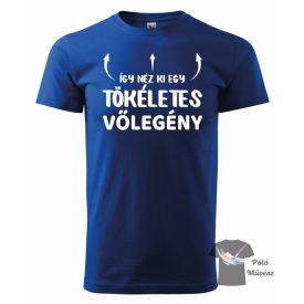   Így néz ki egy tökéletes vőlegény póló - Legénybúcsús póló - Legénybúcsú póló 