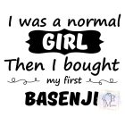 Basenji póló - Basenji pulcsi - Kutyás póló - Egyedi Feliratos póló