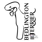 Bedlington Terrier póló - Bedlington póló - Kutyás póló - Egyedi Feliratos póló