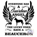 Beauceron póló - Berger de beauce póló - Kutyás póló - Egyedi Feliratos póló