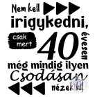 Nem kell irigykedni 40 éves póló - Szülinapos póló