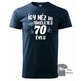   Szülinapos póló - Így néz ki egy tökéletes 70 éves póló