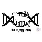 Bloodhound póló - Véreb póló - Kutyás póló - Egyedi Feliratos póló