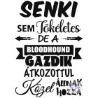 Senki sem tökéletes Bloodhound póló - Véreb póló - Kutyás póló - Egyedi Feliratos póló
