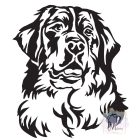 Berni Pásztorkutya póló - Bernese Mountain Dog póló - Kutyás póló - Egyedi Feliratos póló