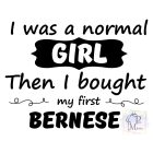 Berni Pásztorkutya póló - Bernese Mountain Dog póló - Kutyás póló - Egyedi Feliratos póló