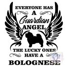 Bolognese póló - Kutyás póló - Egyedi Feliratos póló