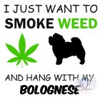 Bolognese póló - Kutyás póló - Egyedi Feliratos póló