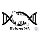 Border Collie póló - Border Collie pulcsi - Border Collie ajándék - Kutyás póló