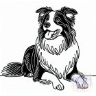 Border Collie póló - Kutyás póló - Egyedi Feliratos póló