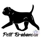 Brabancon póló - Petit Brabancon Pulcsi - Kutyás póló - Egyedi Feliratos póló