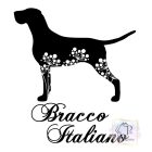Bracco Italiano póló - Olasz Vizsla póló - Kutyás póló - Egyedi Feliratos póló