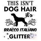 Bracco Italiano póló - Olasz Vizsla póló - Kutyás póló - Egyedi Feliratos póló