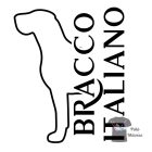 Bracco Italiano póló - Olasz Vizsla póló - Kutyás póló - Egyedi Feliratos póló