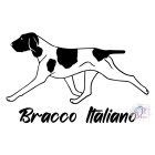 Bracco Italiano póló - Olasz Vizsla póló - Kutyás póló - Egyedi Feliratos póló