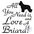 Briard póló - Berger de Brie póló - Kutyás póló - Egyedi Feliratos póló