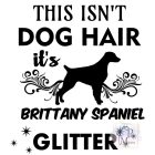 Brittany Spániel póló - Spánieles póló - Kutyás póló - Egyedi Feliratos póló