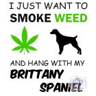 Brittany Spániel póló - Spánieles póló - Kutyás póló - Egyedi Feliratos póló