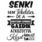 Brittany Spániel póló - Spánieles póló - Kutyás póló - Egyedi Feliratos póló