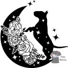 Bullterrier póló - Bull Terrier póló - Kutyás póló - Egyedi Feliratos póló