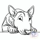 Bullterrier póló - Bull Terrier póló - Kutyás póló - Egyedi Feliratos póló