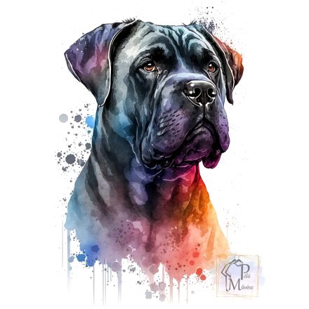 Cane Corso póló - Cane Corso pulcsi - Kutyás póló - Egyedi Feliratos póló