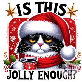   Karácsonyi Cicás póló - Macska póló - Cicás pulcsi - Egyedi Póló