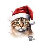 Karácsonyi Cicás póló - Macska póló - Cicás pulcsi - Egyedi Póló