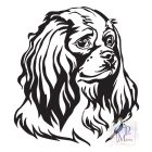 Cavalier King Charles Spániel póló - Spánieles póló - Kutyás póló - Egyedi Feliratos póló