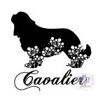 Cavalier King Charles Spániel póló - Spánieles póló - Kutyás póló - Egyedi Feliratos póló