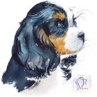 Cavalier King Charles Spániel póló - Spánieles póló - Kutyás póló - Egyedi Feliratos póló