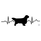 Clumber Spániel póló - Clumber Spaniel póló - Kutyás póló - Egyedi Feliratos póló
