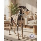 Crystal Flower Luxus Bársony Félfojtós Nyakörv strasszokkal - Strasszos Kutya Nyakörv