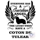 Coton de Tuléar póló - Coton de Tuléar pulcsi - Kutyás póló - Egyedi Feliratos póló