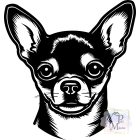 Csivava póló - Chihuahua póló/pulcsi - Kutyás póló - Egyedi Feliratos póló