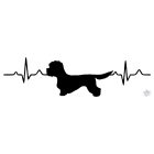 Dandie Dinmont Terrier póló - Kutyás póló - Egyedi Feliratos póló
