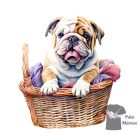 Angol Bulldog póló - Bulldog póló - Kutyás póló - Egyedi Feliratos póló