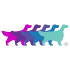 Angol Szetter póló - English Setter póló - Kutyás póló - Egyedi Feliratos póló