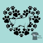Angol Szetter póló - English Setter póló - Kutyás póló - Egyedi Feliratos póló