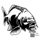 Ponty Horgász póló - Horgász pulcsi - Halas Póló - Egyedi póló 