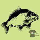 Ponty Horgász póló - Horgász pulcsi - Halas Póló - Egyedi póló 