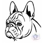 Francia Bulldog póló - French Bulldog póló - Kutyás póló - Egyedi Feliratos póló