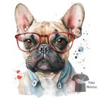 Francia Bulldog póló - French Bulldog póló - Kutyás póló - Egyedi Feliratos póló