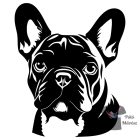 Francia Bulldog póló - French Bulldog pulcsi - Kutyás póló - Egyedi Feliratos póló